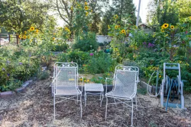 The facilities at Options for Southern Oregon - Creekside in Grants Pass, OR 3